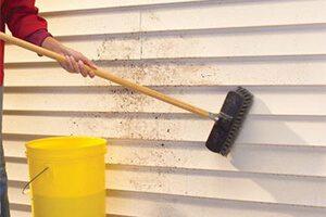 Vinyl Siding Cleaner