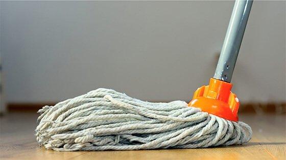 Best Mop for Laminate Floors