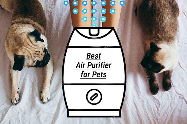 Air Purifier for Pets