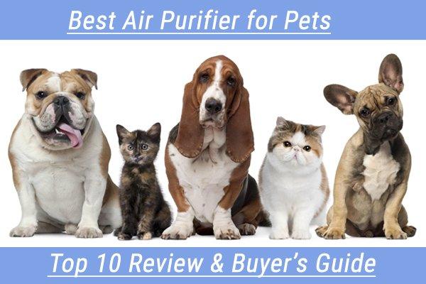 Best Air Purifier for Pets