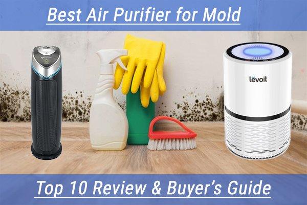 Reviews Air Purifier for Mold