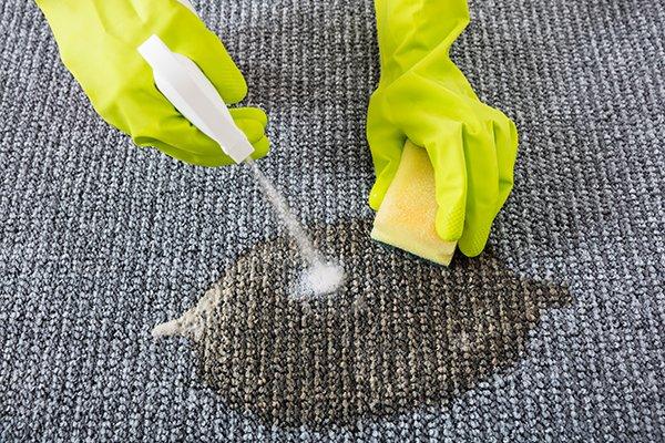 Remove Tea Stains From Carpet
