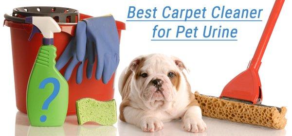 Best Carpet Cleaner for Pet Urine 2020 🐕 - 🐈 Reviews ...