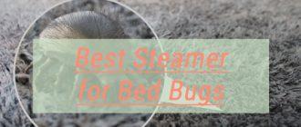 best steamer for bed bugs