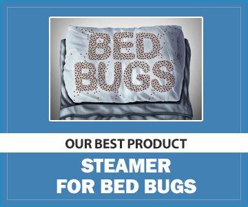 best steamer for bed bugs