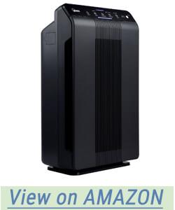 Winix 5500-2 Air Purifier with True HEPA