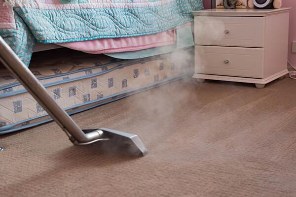 Carpet Steam Clean