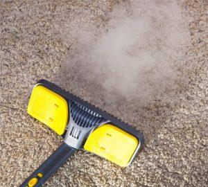 Carpet Steam Cleaner