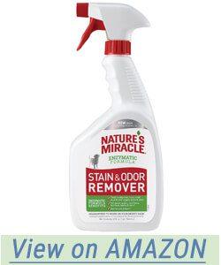Nature’s Miracle Stain and Odor Remover for Dogs