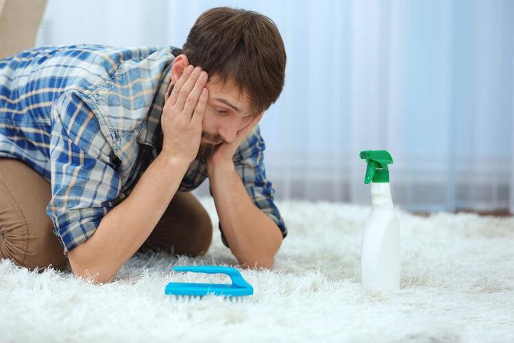 What to Look for in a Carpet Spray Cleaner