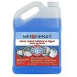 Wet and Forget 10587 1 Gallon Moss
