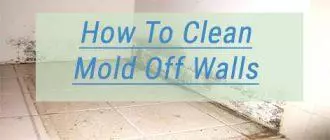 How To Clean Mold Off Walls