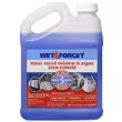Wet And Forget Moss Mold Mildew